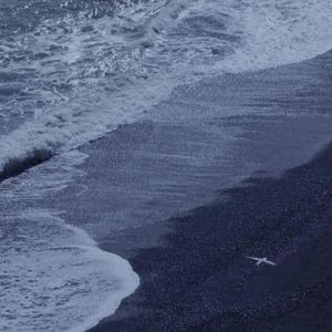 日本中文在线观看
