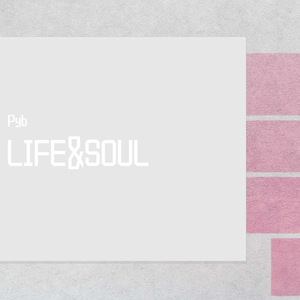 鲁大师在线观看日本影片
