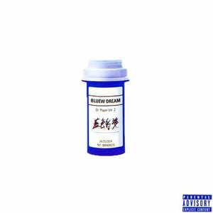 鲁大师在线观看日本影片
