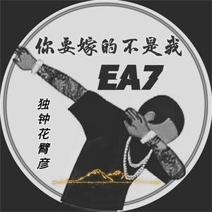 鲁大师在线观看日本影片
