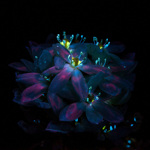 美女裸体扒开喷水网站在线观看视频
